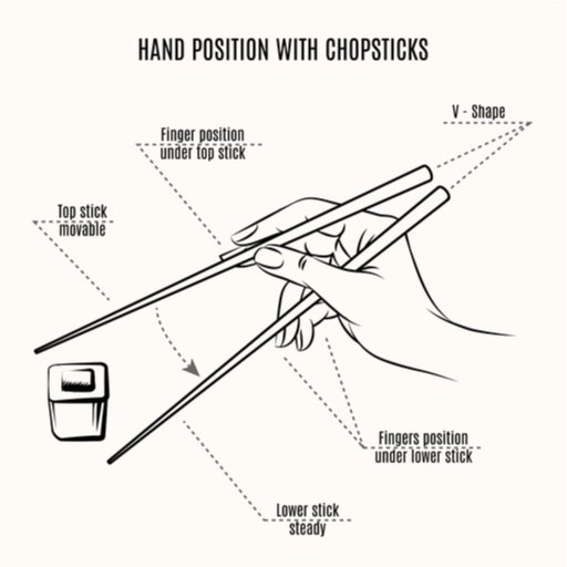 How To Use Chopsticks 1 1 